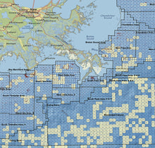 Gulf Coast Oil & Gas Map - Blocks