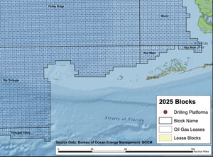 Gulf Coast Oil & Gas Map - Blocks